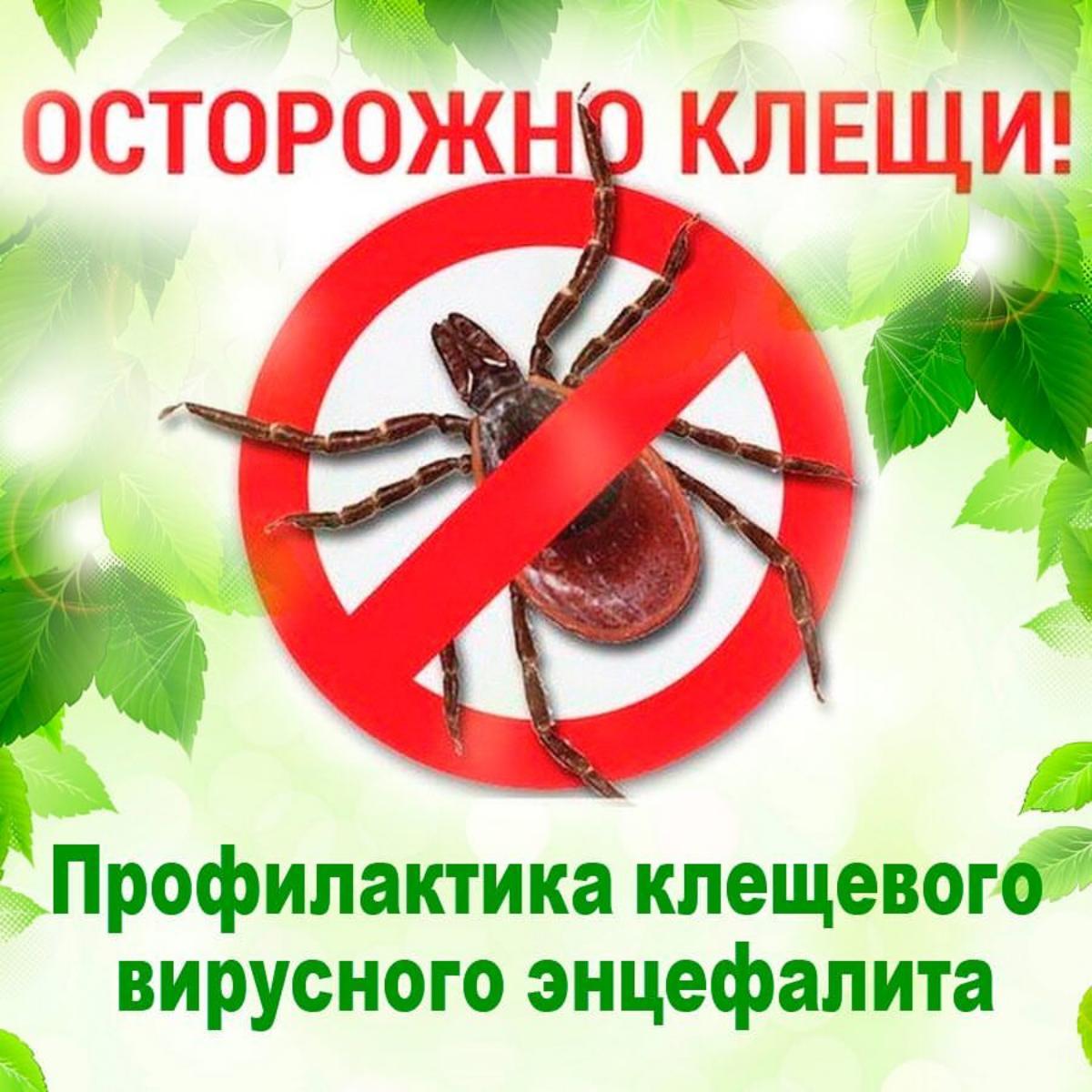 Памятка: профилактика клещевого вирусного энцефалита и клещевого боррелиоза