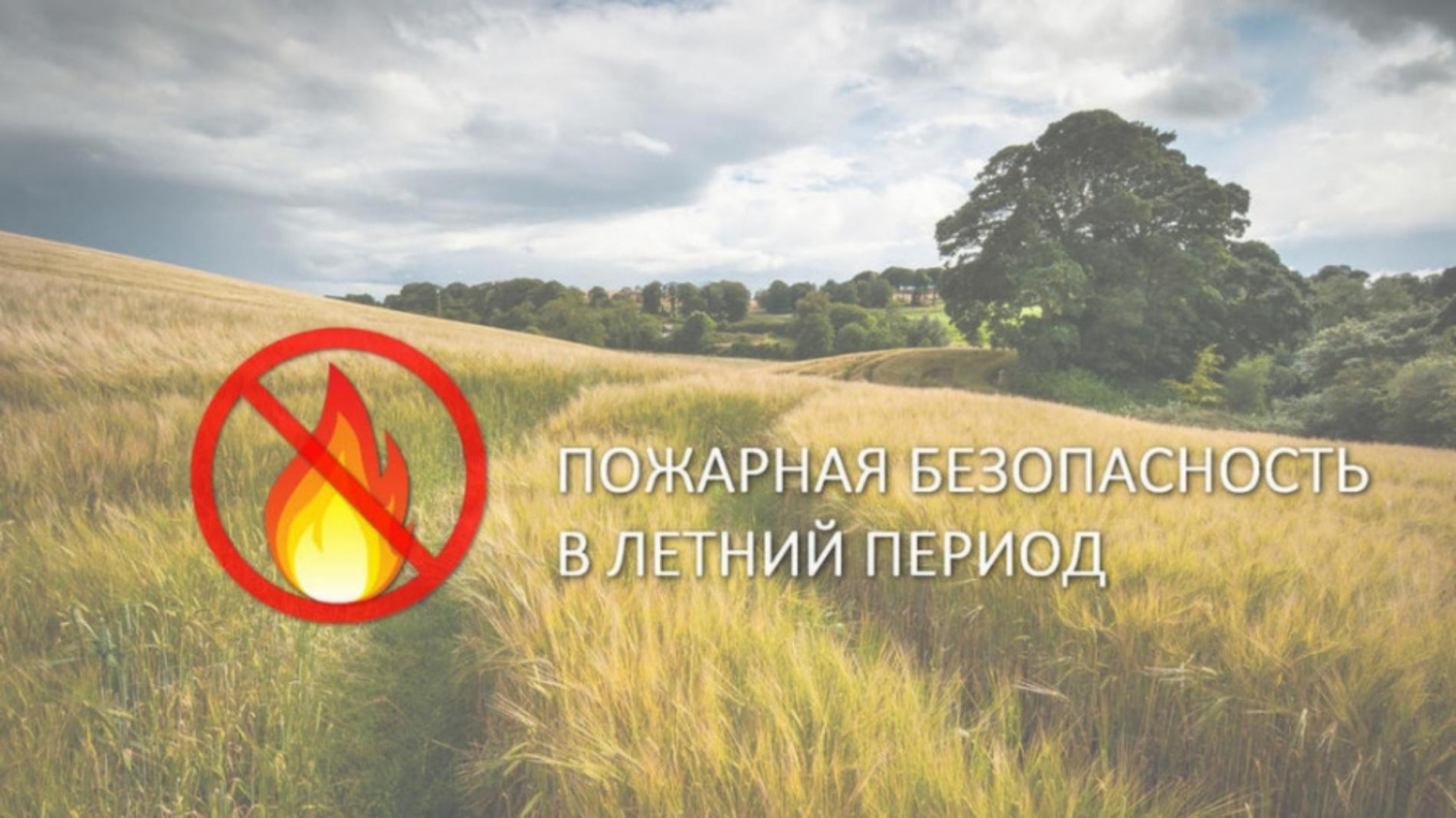 Пожарная безопасность в летний период Пожарная безопасность в летний период