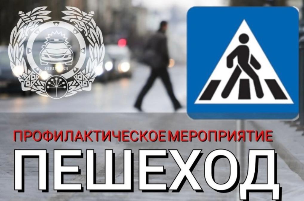 Профилактическое мероприятие «Пешеход, пешеходный переход»