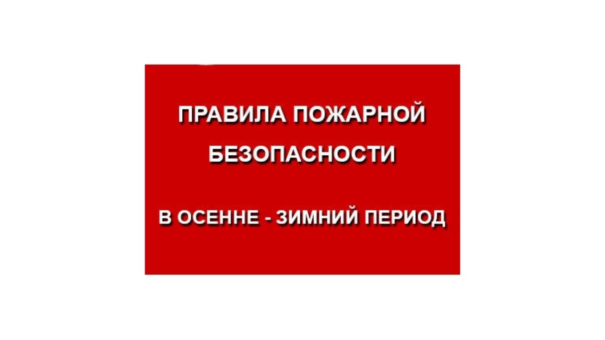 Меры пожарной безопасности при использовании электронагревательных приборов, печного отопления. Предупреждение случаев бытового травматизма.