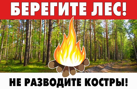 Правила поведения в лесу в пожароопасный период 