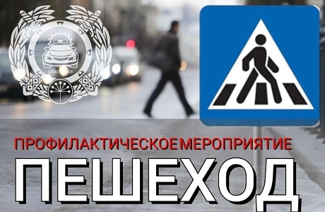 Профилактическое мероприятие «Пешеход, пешеходный переход» Профилактическое мероприятие «Пешеход, пешеходный переход»