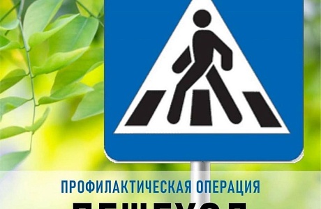 Профилактическое мероприятие «Пешеход, пешеходный переход» Профилактическое мероприятие «Пешеход, пешеходный переход»