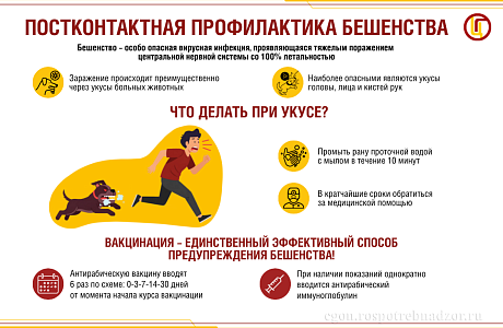 "Меры Профилактики Против Бешенства".