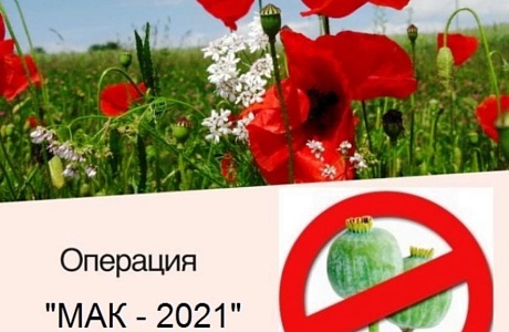 На территории Пензенской области пройдет третий этап межведомственной комплексной оперативно-профилактической операции «Мак-2021» На территории Пензенской области пройдет третий этап межведомственной комплексной оперативно-профилактической операции «Мак-2021»