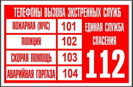 Телефоны вызова экстренных служб Телефоны вызова экстренных служб