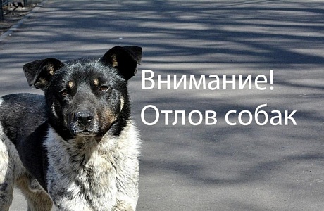 Уважаемые жители! Уважаемые жители!