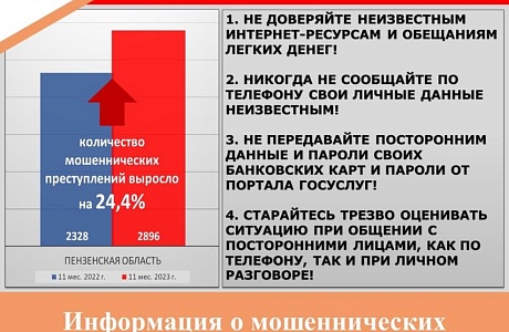 Информация о мошеннических преступлениях в Пензенской области за 11 месяцев 2023 года