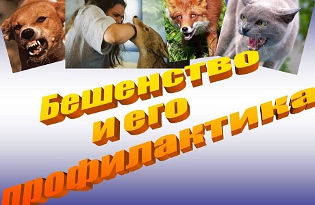 Памятка по профилактике и борьбе с бешенством Памятка по профилактике и борьбе с бешенством