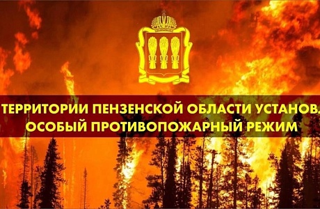 На территории Пензенской области с 1 июня 2024 года и до особого распоряжения введен особый противопожарный режим На территории Пензенской области с 1 июня 2024 года и до особого распоряжения введен особый противопожарный режим