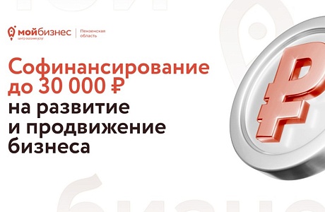 До 30 тысяч рублей могут получить пензенские предприниматели на развитие и продвижение бизнеса.