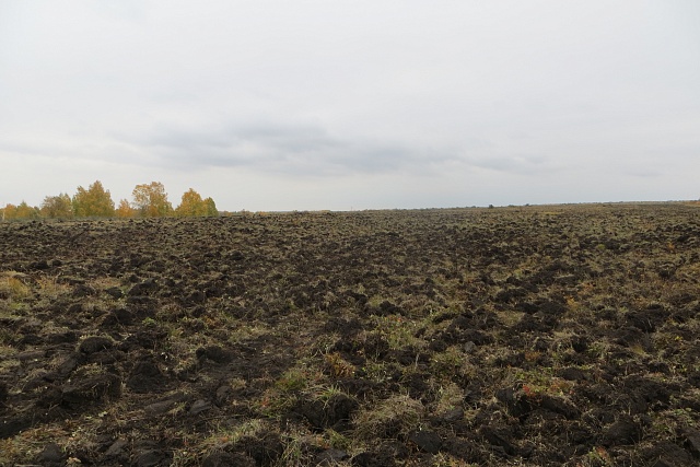 Ввод в оборот  ранее не обрабатываемых земель   в хозяйствах Малосердобинского района