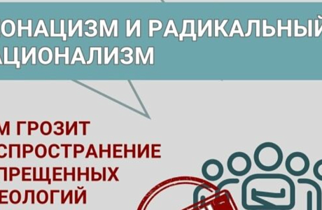 Информационные карточки «Неонацизм и радакальный национализм» Информационные карточки «Неонацизм и радакальный национализм»