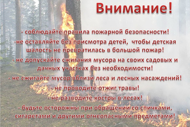 Основные причины возникновения лесных пожаров