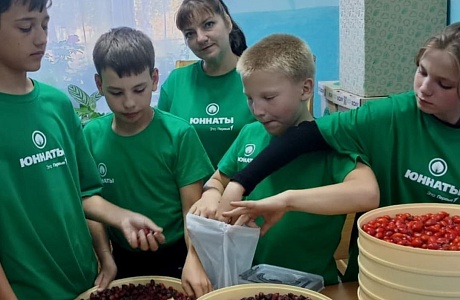 Юннаты Дома детского творчества собирают урожай и учатся правильной сушке плодов