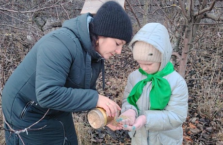 Зимний городок для птиц: забота юннатов Дома детского творчества Зимний городок для птиц: забота юннатов Дома детского творчества