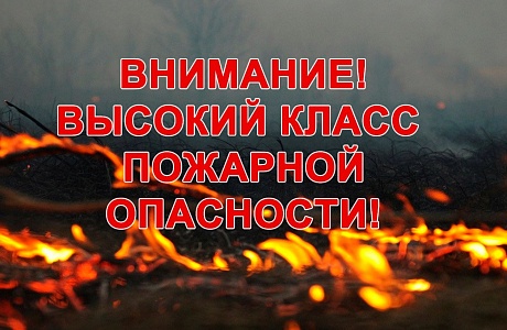 Пожарная опасность в лесах. Классы пожарной опасности 