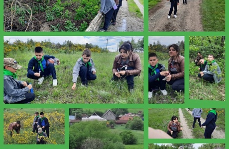 Экскурсия по родным просторам села Малая Сердоба: весенние открытия для юных экологов Экскурсия по родным просторам села Малая Сердоба: весенние открытия для юных экологов