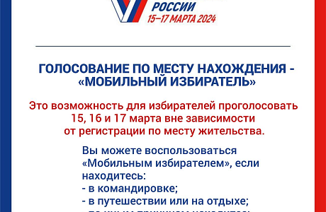 ⠀Голосование по месту нахождения