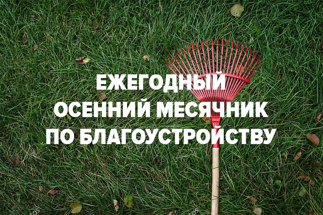На территории Малосердобинского района в период с 24 сентября по 16 октября 2021 года объявлен месячник по благоустройству территорий населенных пунктов