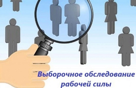 Выборочное обследование рабочей силы Выборочное обследование рабочей силы
