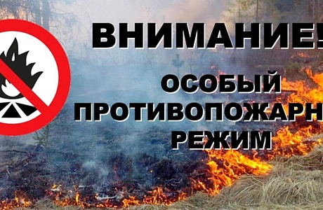 На территории Пензенской области введён особый противопожарный режим
