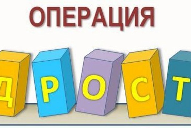 На территории Малосердобинского района проводится комплексная межведомственная профилактическая операция «Подросток» На территории Малосердобинского района проводится комплексная межведомственная профилактическая операция «Подросток»