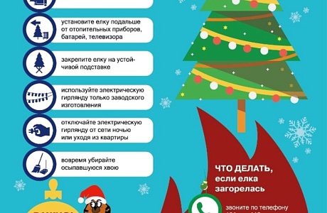 Правила пожарной безопасности при установке Новогодней Ёлки!