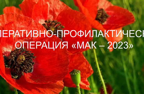На территории Пензенской области с 21 по 30 августа проводится второй этап оперативно-профилактической операции «Мак-2023» На территории Пензенской области с 21 по 30 августа проводится второй этап оперативно-профилактической операции «Мак-2023»