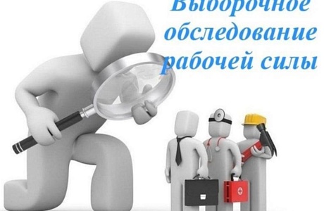 Выборочное обследование рабочей силы и Выборочное наблюдение участия населения в непрерывном образовании
