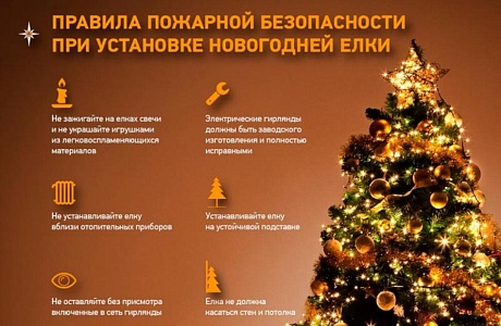 Пожарная безопасность на новогодних праздниках Пожарная безопасность на новогодних праздниках