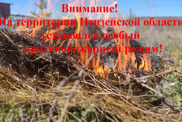 На территории Пензенской области с 10 июля 2025 года и до особого распоряжения введен особый противопожарный режим! На территории Пензенской области с 10 июля 2025 года и до особого распоряжения введен особый противопожарный режим!