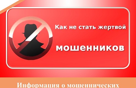 В Пензенской области за 9 месяцев 2023 года зарегистрировано 2401 случай мошеннических преступлений (за аналогичный период прошлого года – 1 887, рост на 27,2%)
