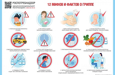 12 мифов и фактов о гриппе 12 мифов и фактов о гриппе