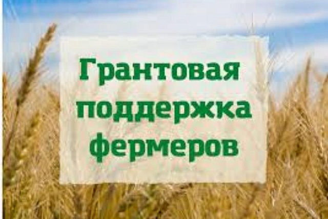 Правительство расширило поддержку сельхозпроизводителей, увеличив число получателей грантов и субсидий Правительство расширило поддержку сельхозпроизводителей, увеличив число получателей грантов и субсидий