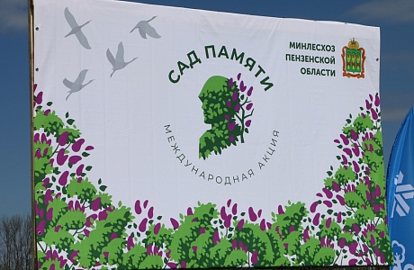В Пензенской области в рамках акции «Сад Памяти» высадят более 60 тысяч деревьев