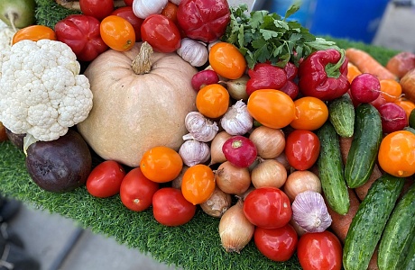 В Пензе пройдет ярмарка-презентация продукции местных товаропроизводителей