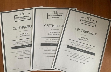 Руководящий состав территориальной избирательной комиссии Малосердобинского района Пензенской области принял участие в Общероссийской тренировке по использованию личных кабинетов на ЕПГУ