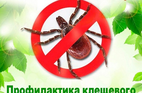 Памятка: профилактика клещевого вирусного энцефалита и клещевого боррелиоза Памятка: профилактика клещевого вирусного энцефалита и клещевого боррелиоза