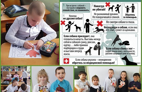 Осторожно – бродячие собаки!!! Осторожно – бродячие собаки!!!