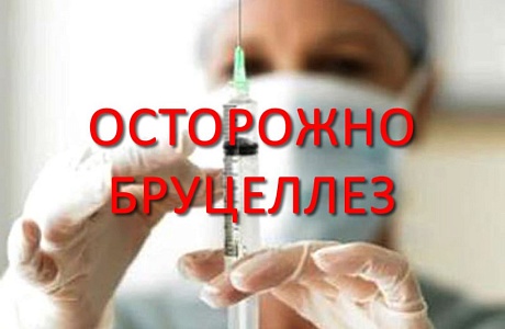 «Бруцеллез – это опасно!»