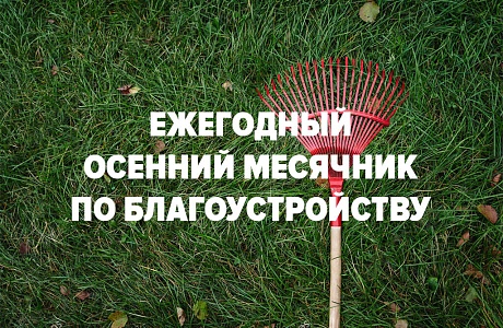Ежегодный осенний месячник по благоустройству и санитарной очистке населенных пунктов