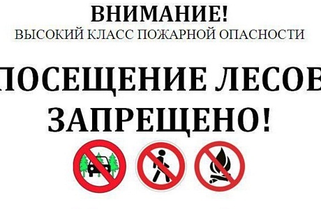 Внимание! На территории Пензенской области прогнозируется 4 -й класс пожарной опасности.