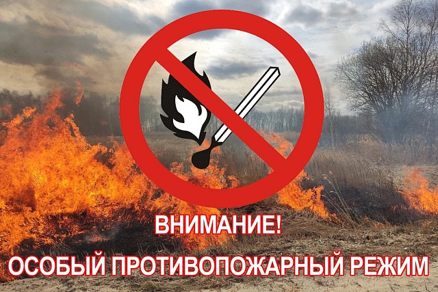 На территории Пензенской области с 28 мая 2025 года и до особого распоряжения введен особый противопожарный режим! На территории Пензенской области с 28 мая 2025 года и до особого распоряжения введен особый противопожарный режим!