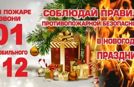 Правила пожарной безопасности в новогодние праздники Правила пожарной безопасности в новогодние праздники