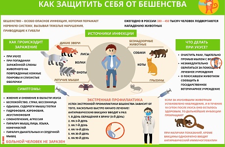 "Меры профилактики против бешенства".