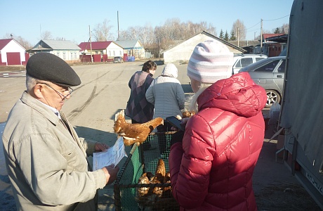 Мониторинг торговых площадок в селе Малая Сердоба