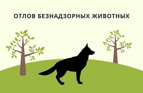 Обращение по отлову безнадзорных животных можно направить в администрацию Малосердобинского района Обращение по отлову безнадзорных животных можно направить в администрацию Малосердобинского района