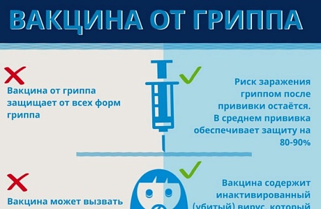 Вакцинация - лучший способ защиты от гриппа
