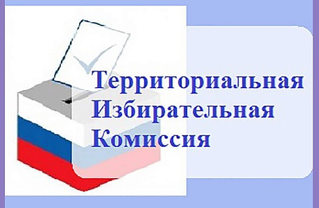Состоялось заседание территориальной избирательной комиссии Малосердобинского района